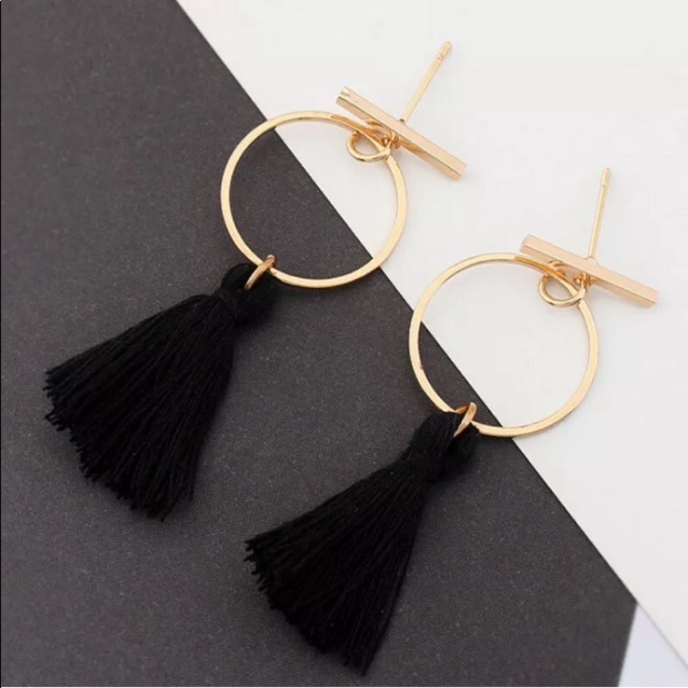 🔴Pink or Black Fringe with Circle and Stud Earrin